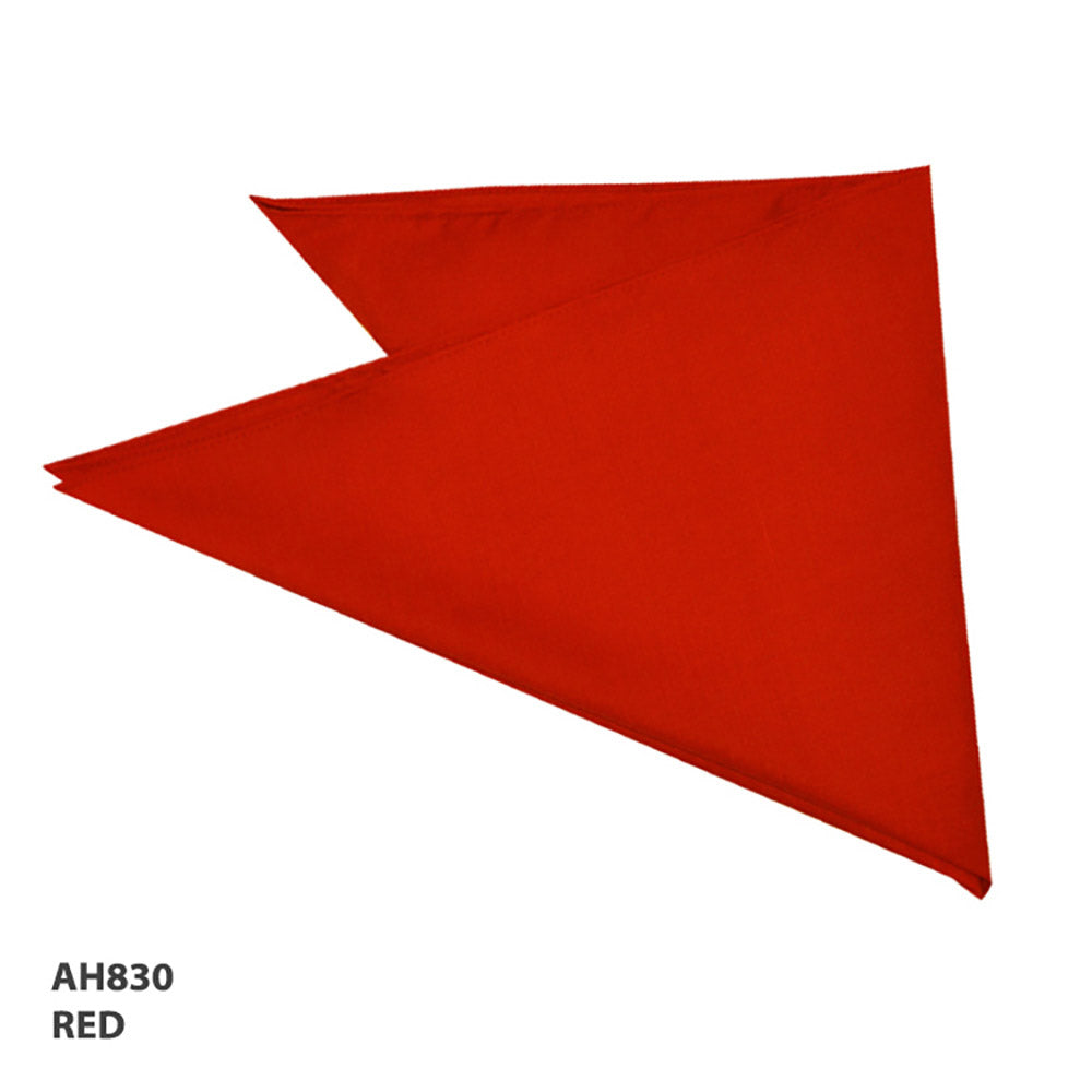 Grace Collection AH830 Bandanna